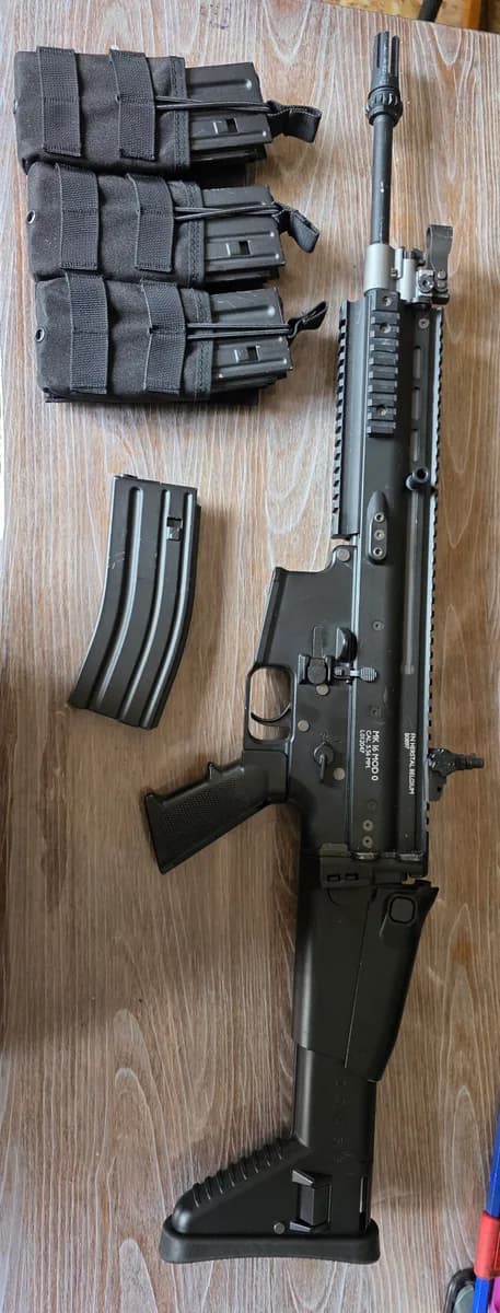 Scar L