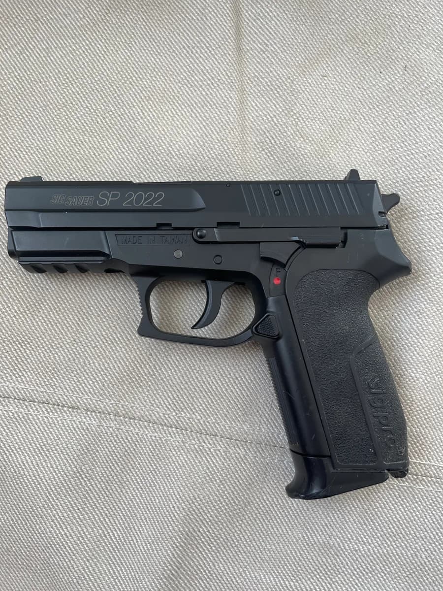 Sig Sp2022 mini 2