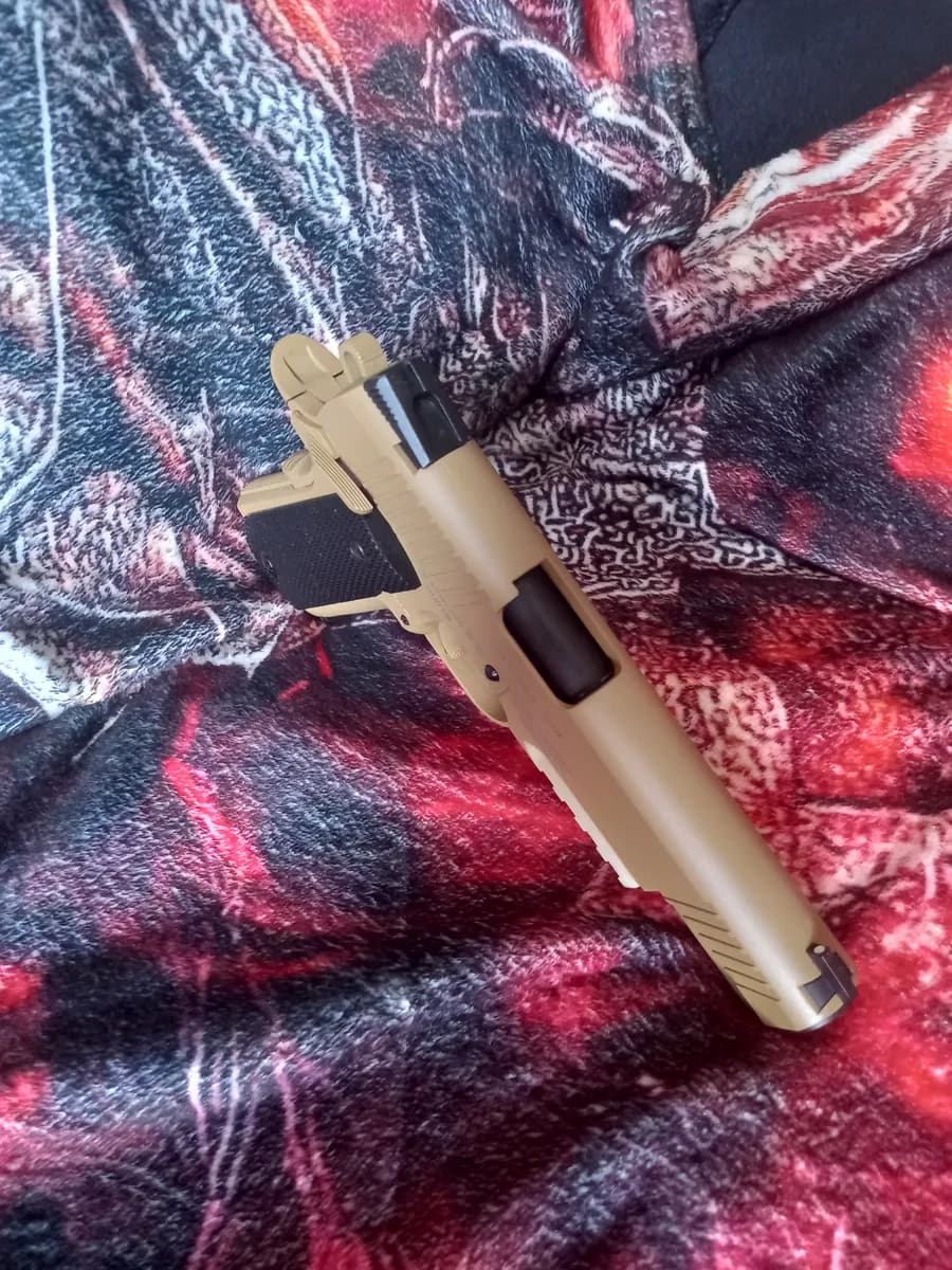Colt Rail Gun 1911 mini 1