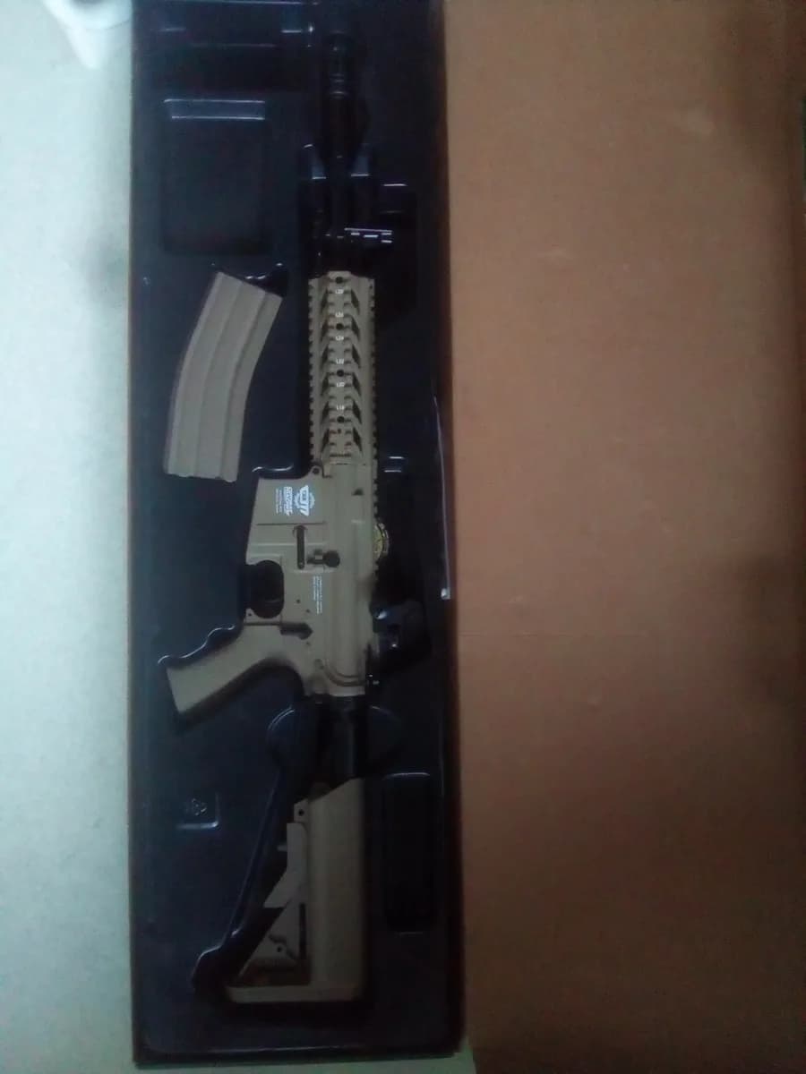 CM16 raiderL DST mini 2