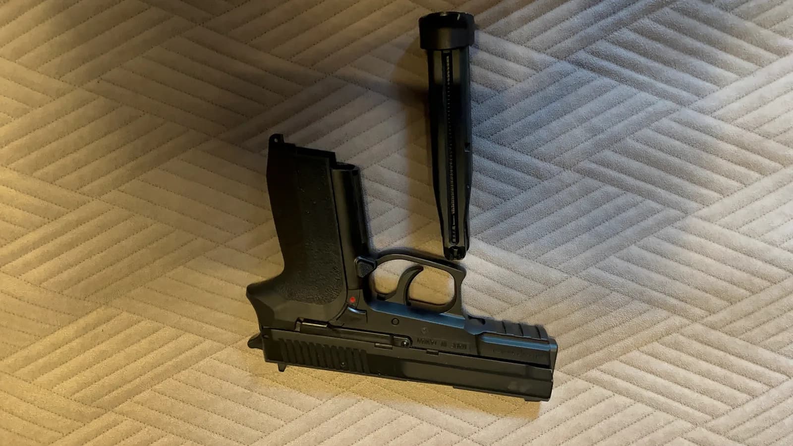 Sig sauer SP2022 mini 1
