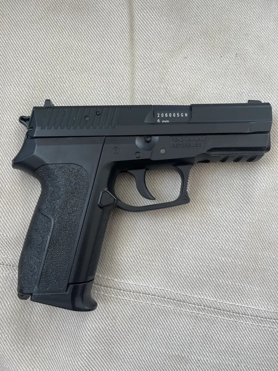 Sig Sp2022 mini 1