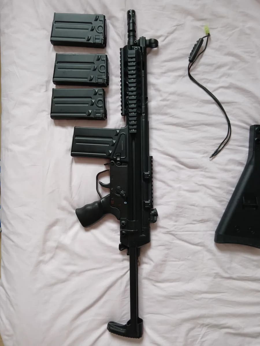 HK-G3 RIS